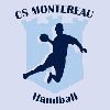 CS Montereau Handball 3