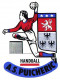 Logo Association Sportive Puicheric HB