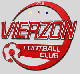 Logo Vierzon FC 3