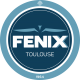 Logo FENIX Toulouse Handball 3
