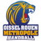 Logo Oissel Rouen Métropole Handball
