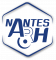 Logo Nantes Atlantique Rink Hockey