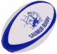 Logo Saumur Rugby