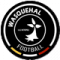 Logo Wasquehal Football 2