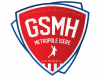 GSMH 38 Handball