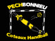Logo Pechbonnieu Coteaux Handball 2