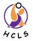 Logo Handball Club la Salvetat 2