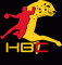 Logo Handball Club Saint-Cereen