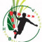 Logo Vergeze Handball