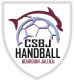 Logo CS Bourgoin Jallieu HB 2