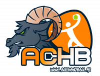 Logo Alès Cévennes Handball