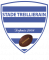 Logo Stade Treillierain
