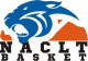 Logo Nort sur Erdre AC les Touches Basket 3