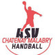 Logo AS Voltaire Chatenay-Malabry Handball 2