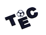 Logo Toulouse Electrogaz Club