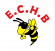 Logo Eclair Chauve Handball 2