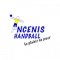 Logo Ancenis Handball 2