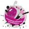 Logo Roanne Riorges Handball 2