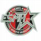 Logo Etoile Sportive Municipale Hamel