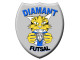 Logo Diamant Futsal 2