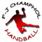Logo Foyer des Jeunes de Champhol Handball 2