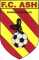 Logo FC Avesnes S/Helpe 96