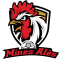 Logo IMT Mines Alès Foot 2