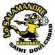 Logo Salamandre St Doulchard 2