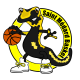 Logo Saint Medard Basket