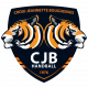 Logo CJ Bouguenais Handball