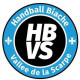 Logo Handball Biache Vallee de la Scarpe 2