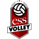Logo Club Espace Sportif de Sucy 2