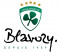 Logo US Blavozy 2