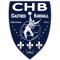 Logo Castres Handball