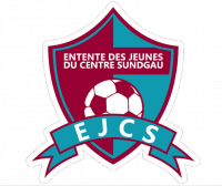 Logo EJCS