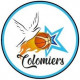 Logo US Colomiers Basket 3