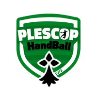 Logo ES Plescop Handball 2