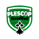 Logo ES Plescop Handball 3