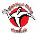 Logo Olympique Mehun Handball