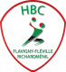 Logo Villers Handball