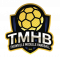 Logo Thionville Moselle Handball