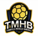 Logo Thionville Moselle Handball 2