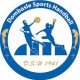 Logo Dombasle Sports Handball