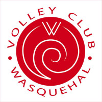Logo Wasquehal Volley Ball