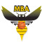 Logo Montamise Basket Association