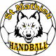 Logo Saint Mathieu de Treviers Handball