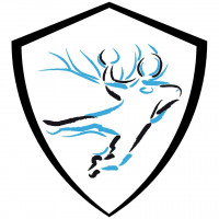 Logo US la Ferte Handball