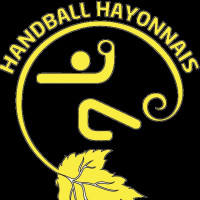Logo Handball Hayonnais