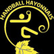 Logo Handball Hayonnais 2