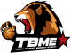 Logo Team Basket Morigny Etrechy 3
